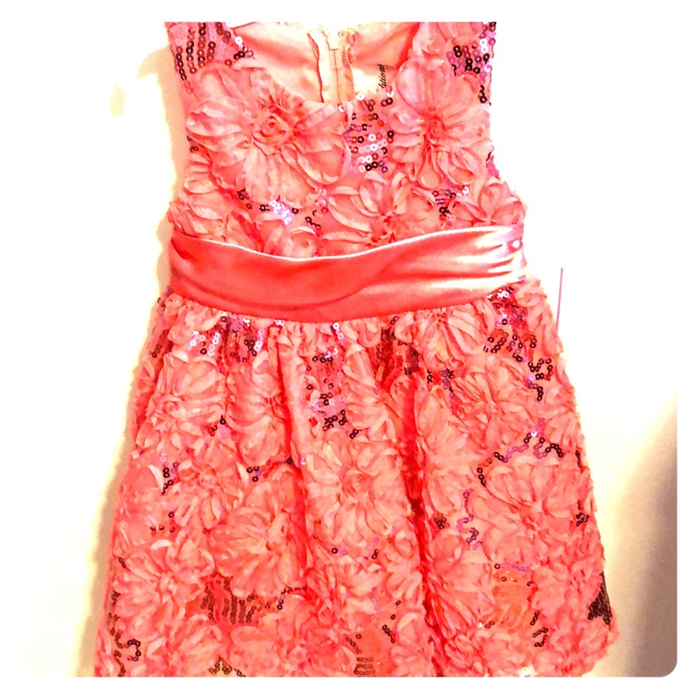 NWT Toddler Girls Size 3T Party Dress
